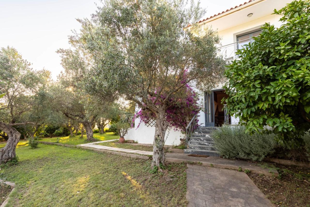 Skafidia Garden Gem - Mirtia Fully Equipped Home - Ferienwohnung Ágios Ilías