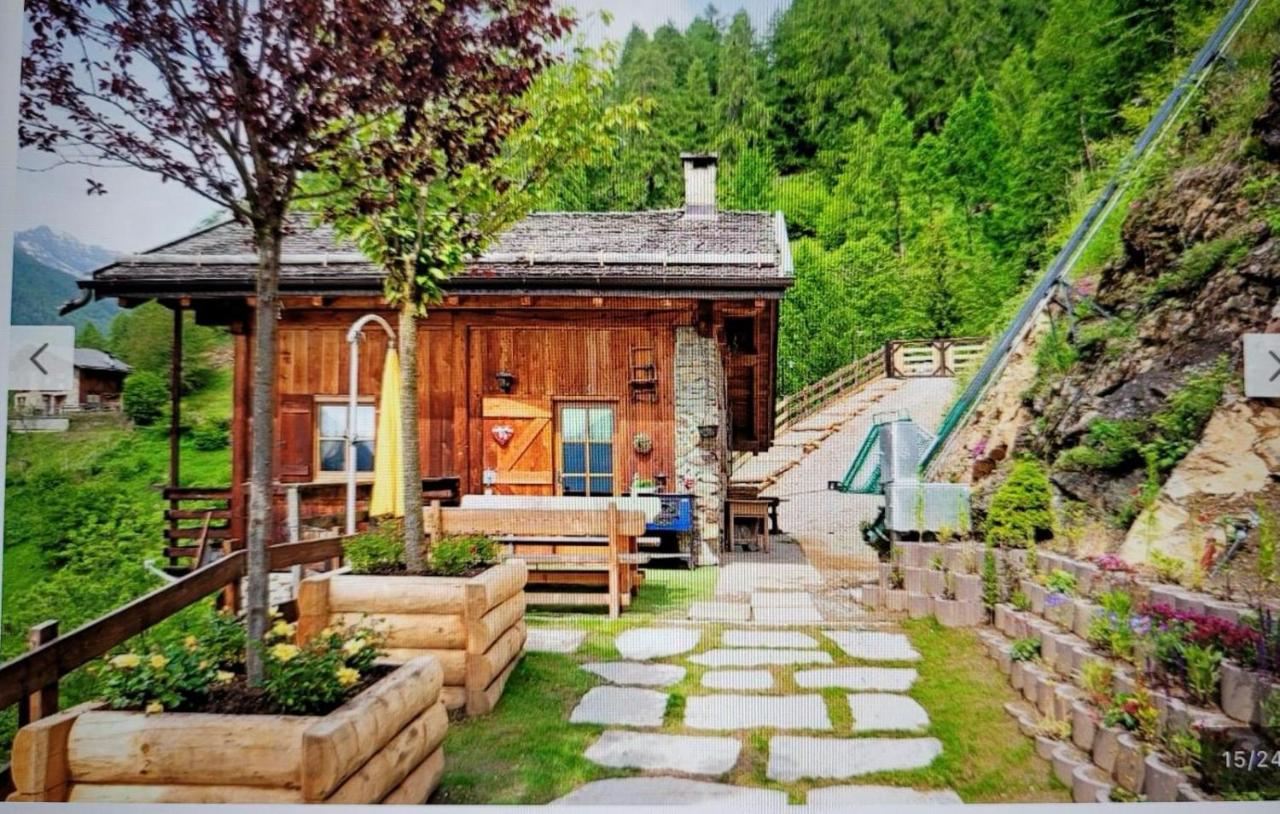 Chalet Berghof L'Aret in Val di Rabbi - B&B Piazzola