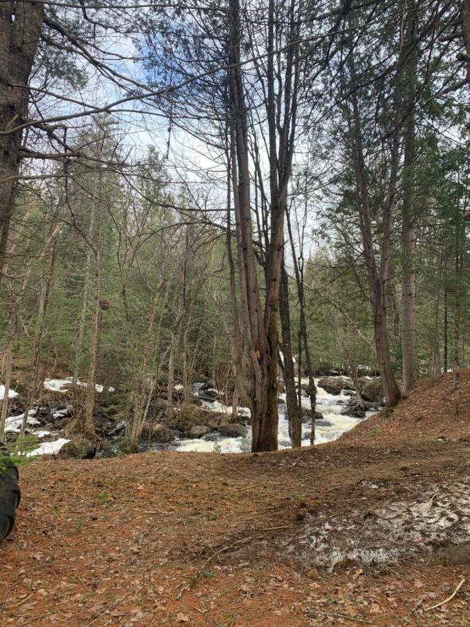 Chalet Rawdon Route 125 - B&B