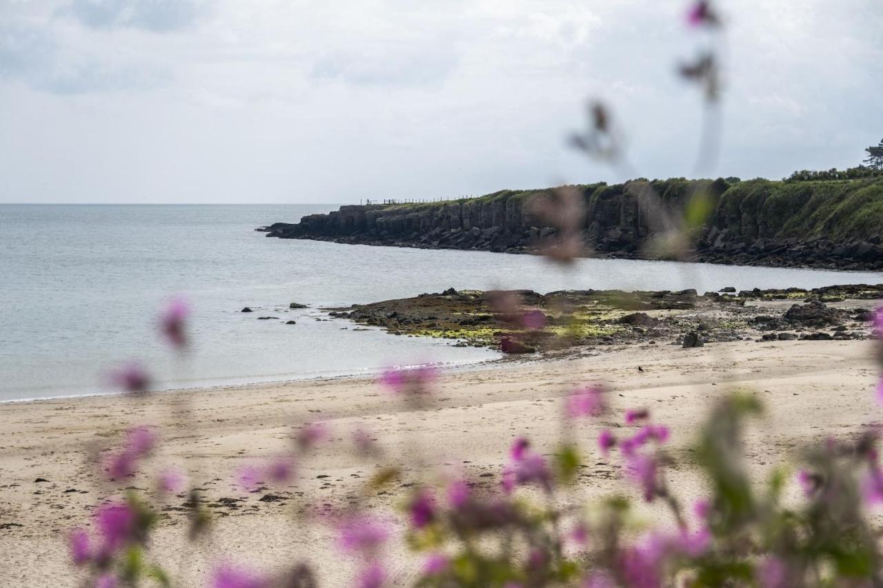 Sea View - B&B Moelfre