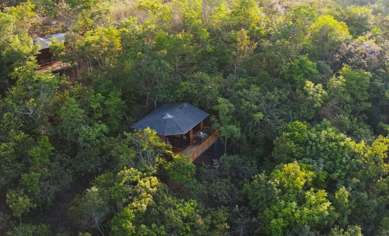 Ecolodge La Corocora - B&B