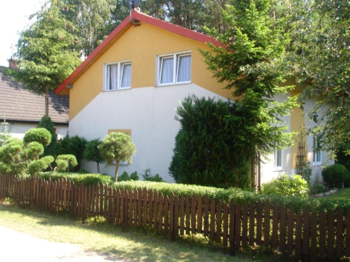 Domek letniskowy przy lesie - B&B