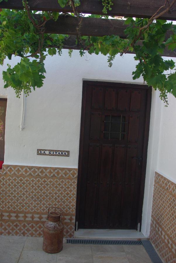 Habitación Deluxe con cama extragrande