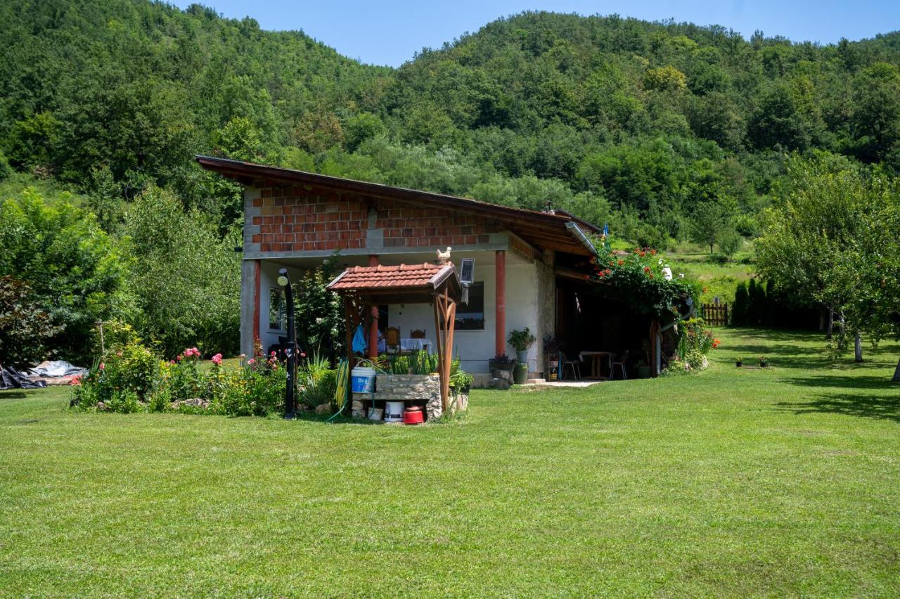 Elza - B&B