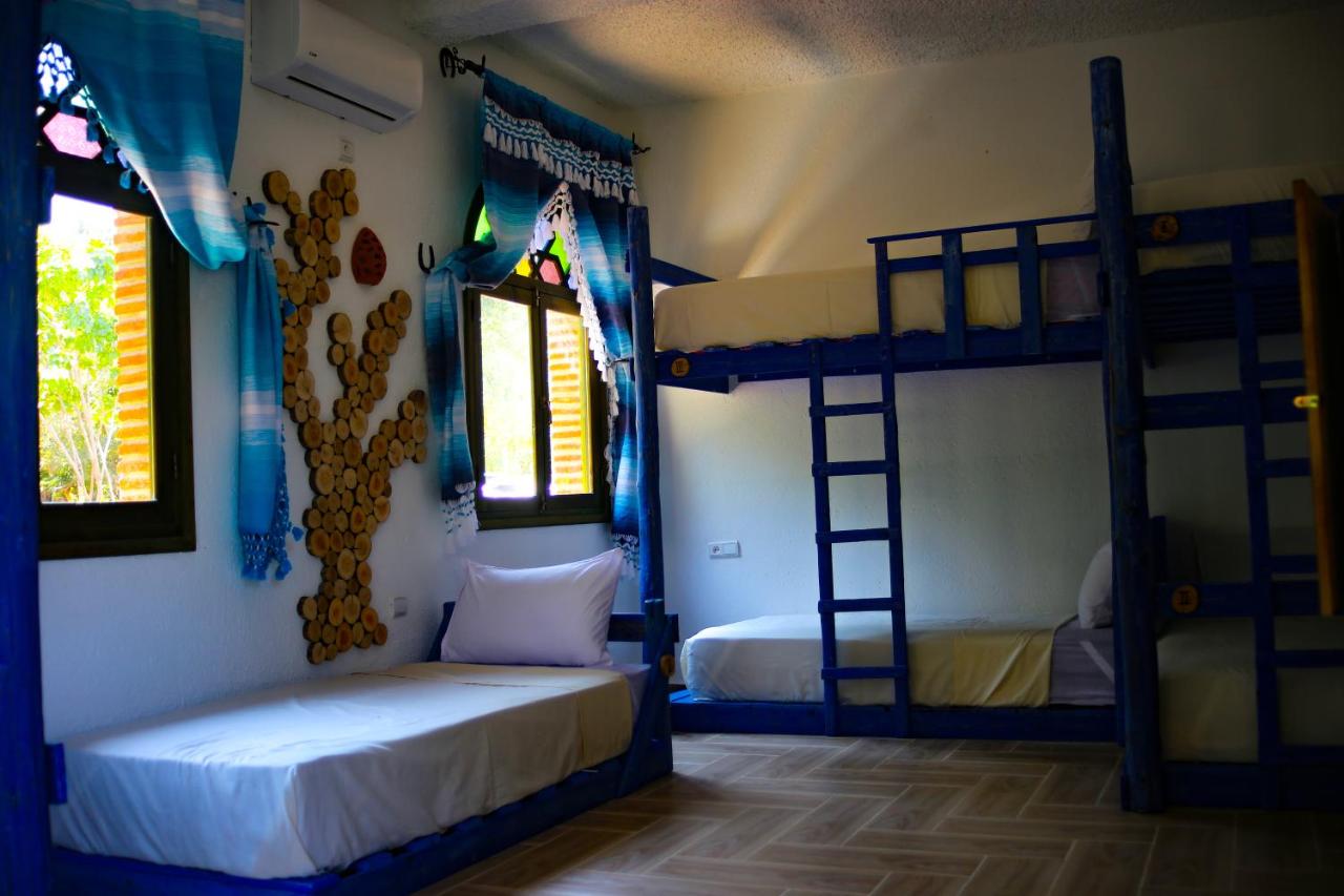 Bed in 6-Bed Mixed Dormitory Room