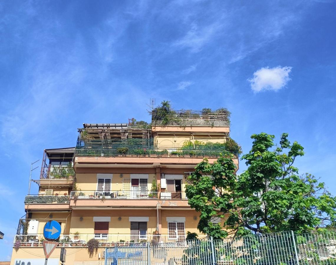 Big Terrace Grand House - New - B&B Rome