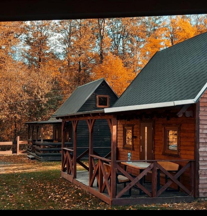 Domek pod Śnieżką 2 - Ferienwohnung