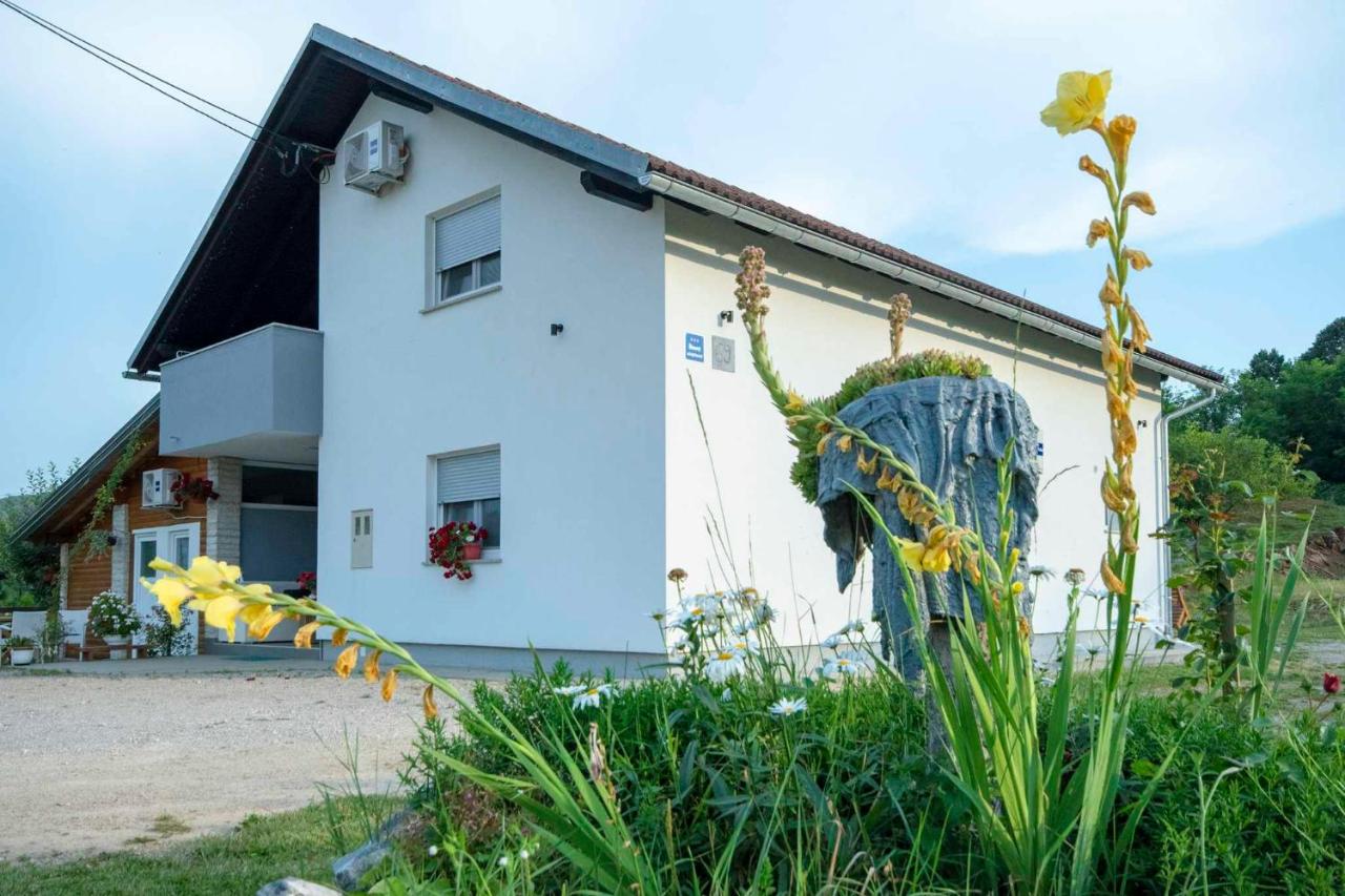 Apartment Nina - B&B Slunj