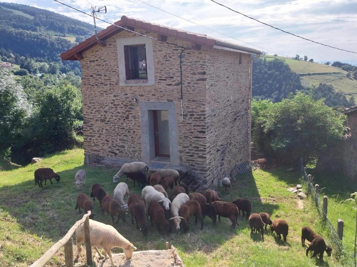 Gîte rénové avec terrasse et animaux acceptés à Saint-Chamond - FR-1-496-324 - B&B Saint-Chamond