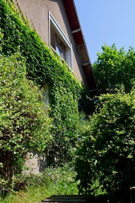 Appartement cosy - Ferienwohnung