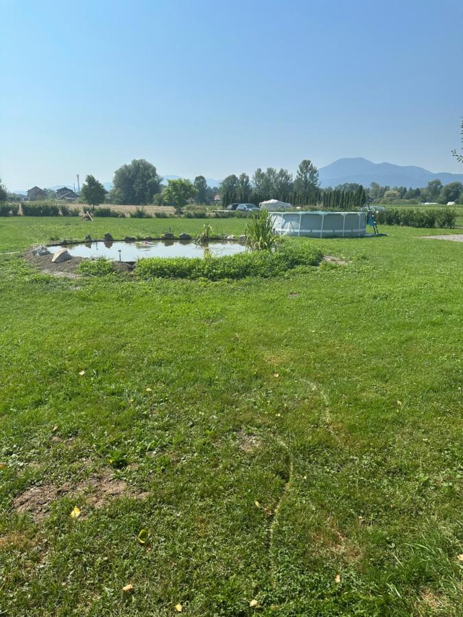 Močvirski Tulipan - B&B