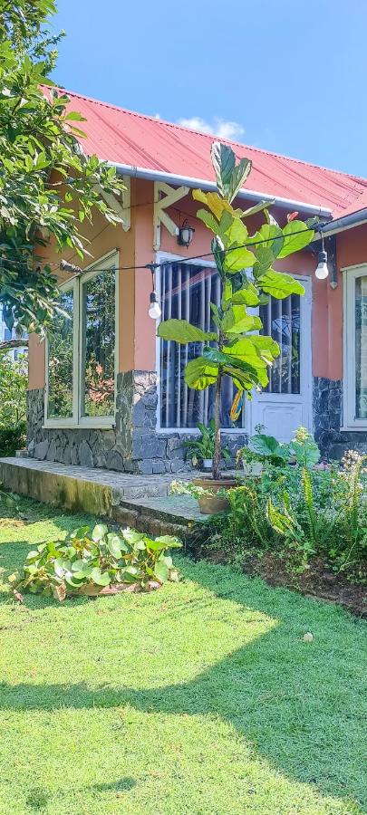 Quadruple Room with Garden View
