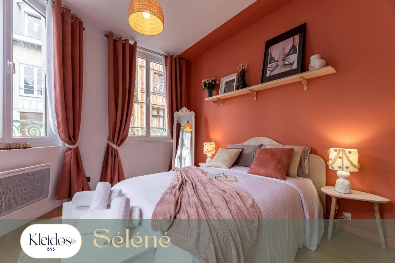 Séléné by Kleidos - T2 romantique dans le centre historique de Rouen, Proche Gare - B&B