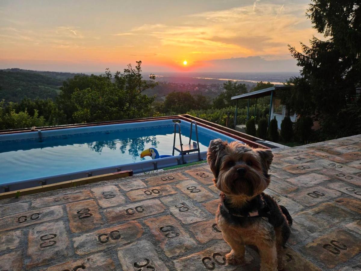 Vila Teja - B&B
