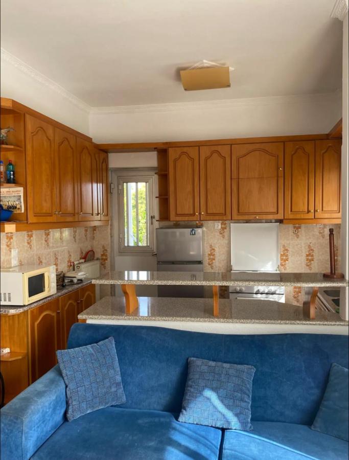 Cosy spot near the beach only 45 min from Athens - B&B Dílesi