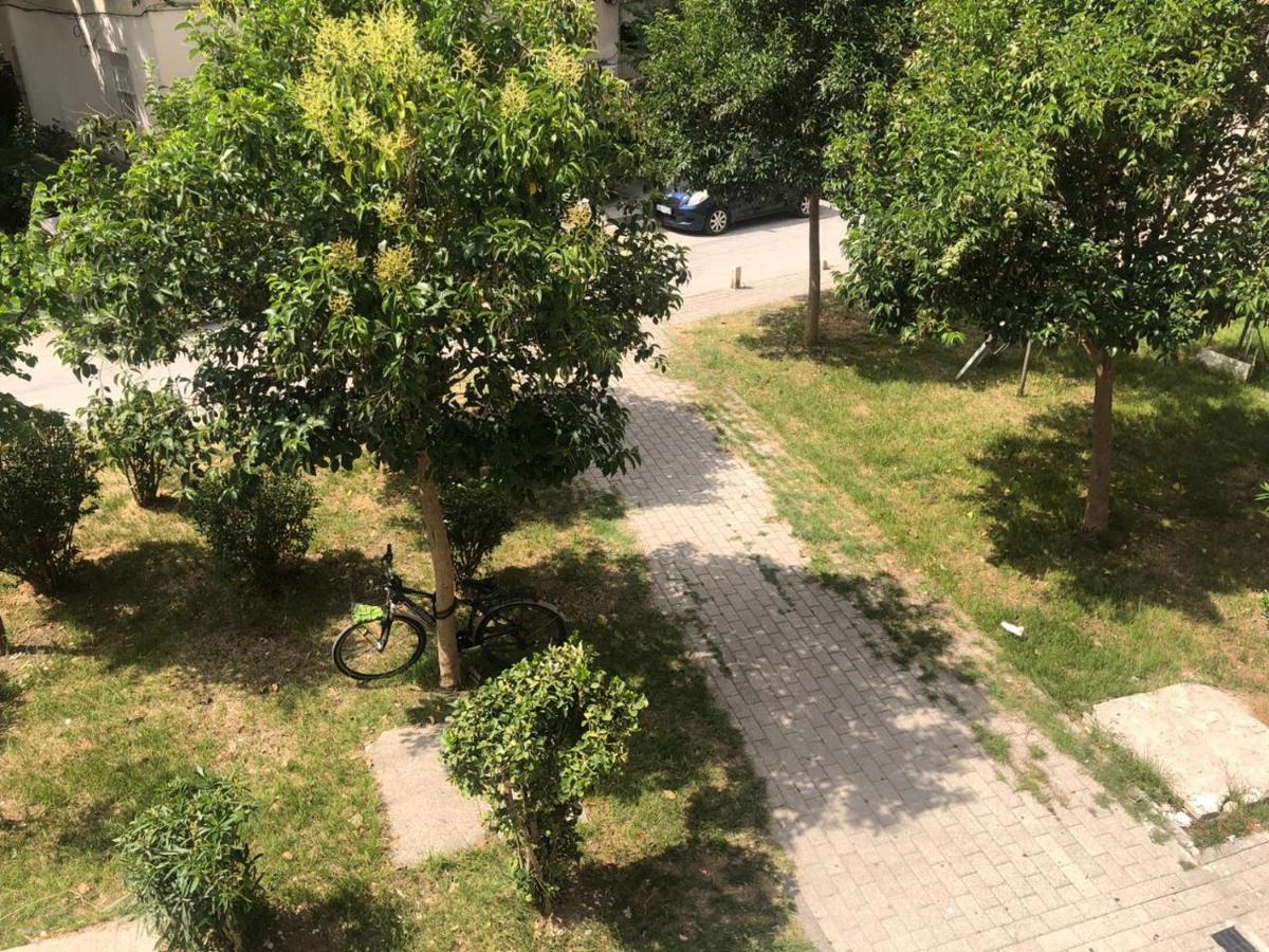 Ramo Studio Apartment - Bed and Breakfast Vlorë