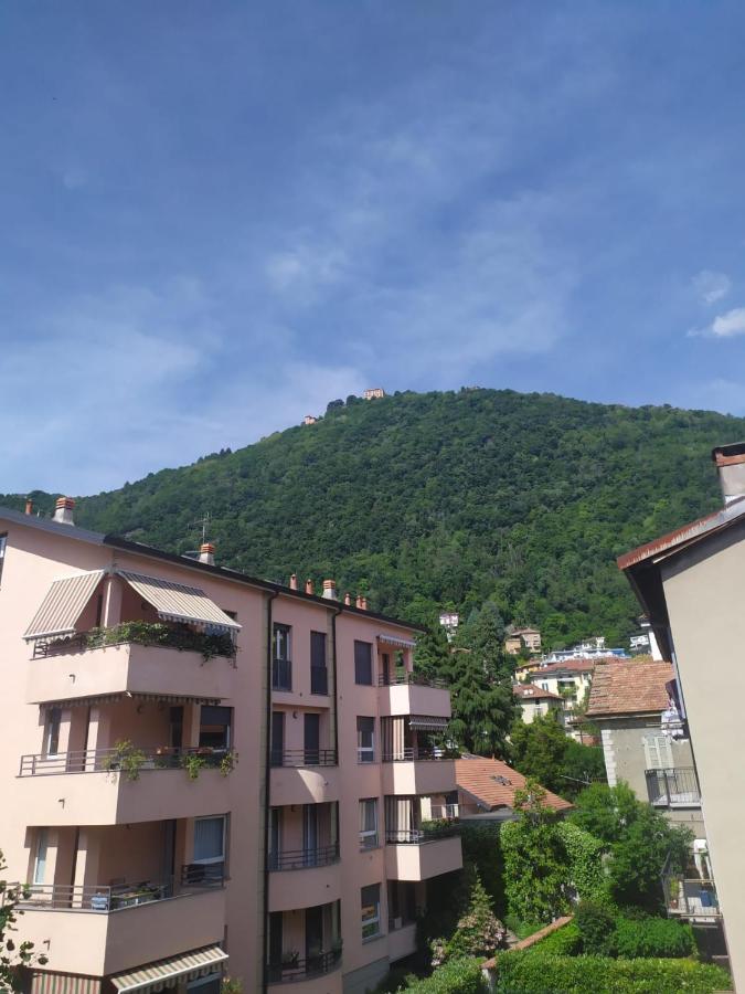 Appartement 1 Chambre
