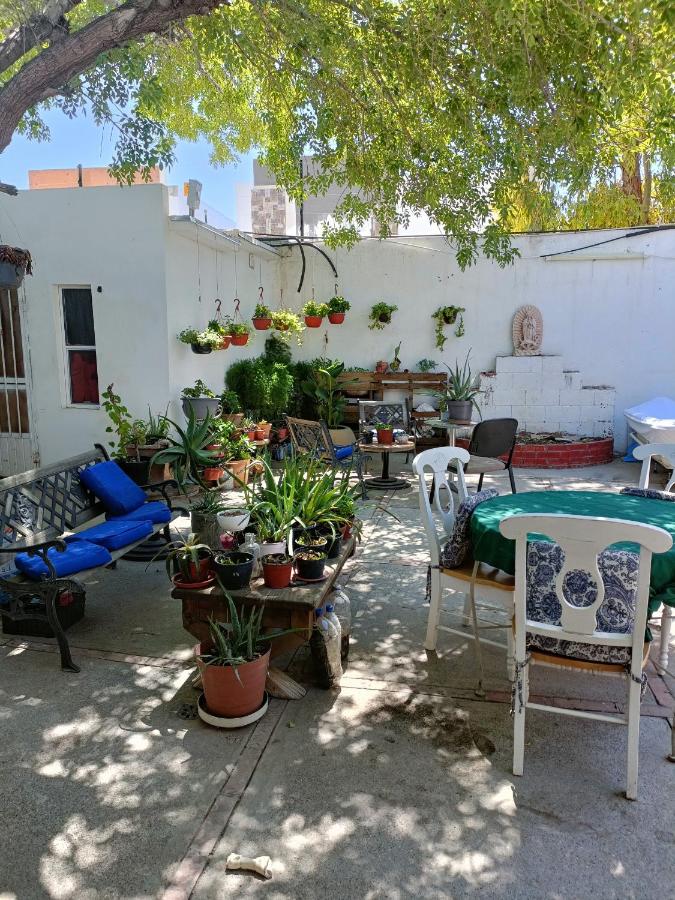 Bajo el arbol con cocineta y lavanderia - B&B Ciudad Juárez