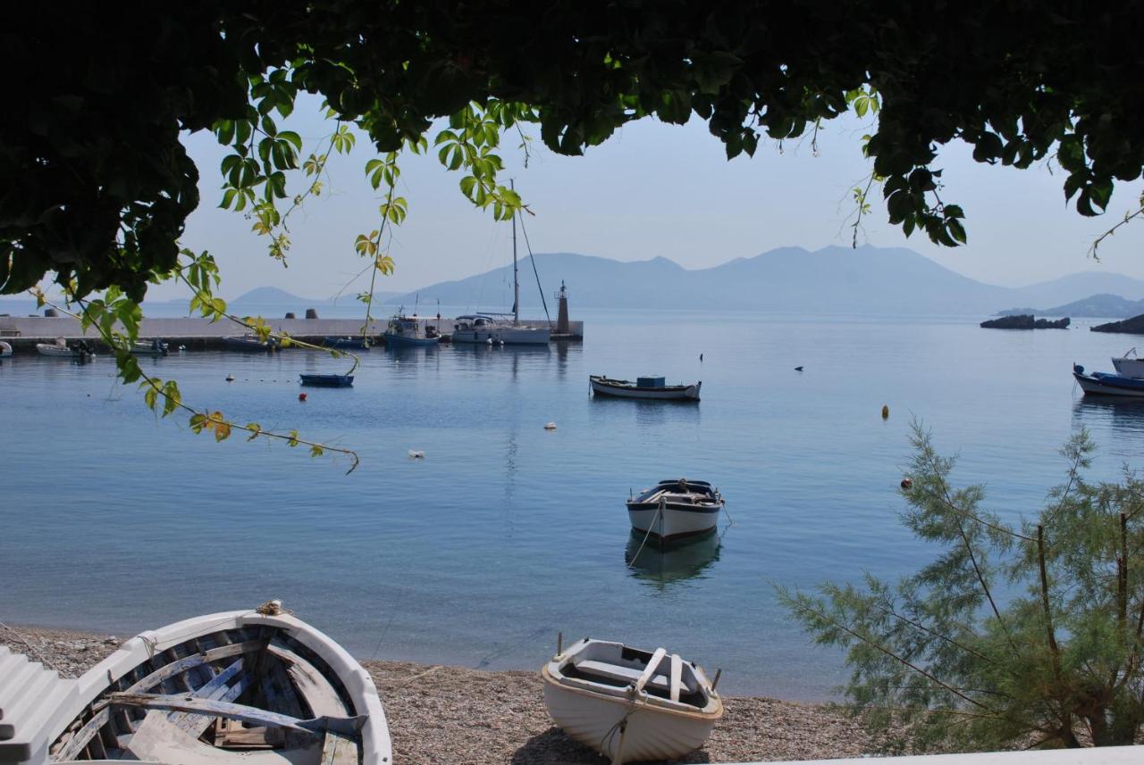 Despina Studios - Ferienwohnung Kokkari