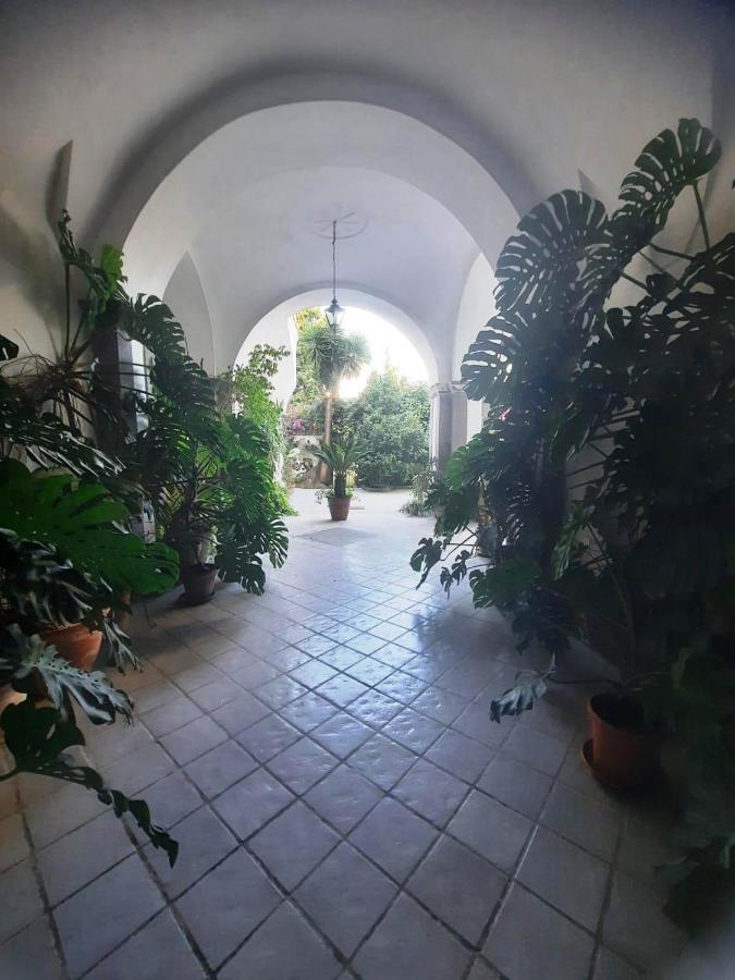 La casa delle Camelie - B&B