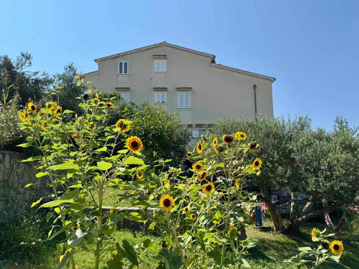Apartments Maričić Banjol - B&B