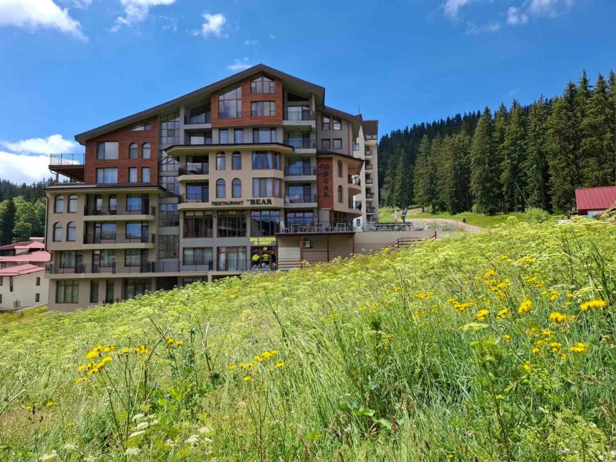 The Bear Pamporovo - B&B
