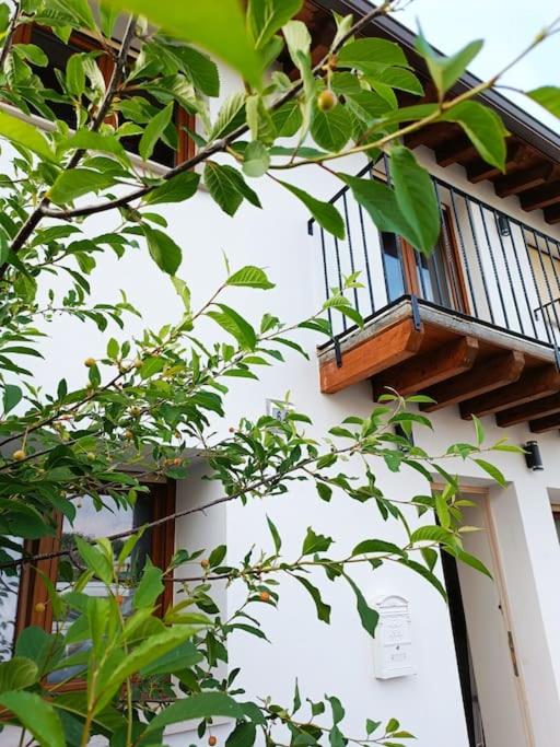 Bellavista - Ferienwohnung Santander