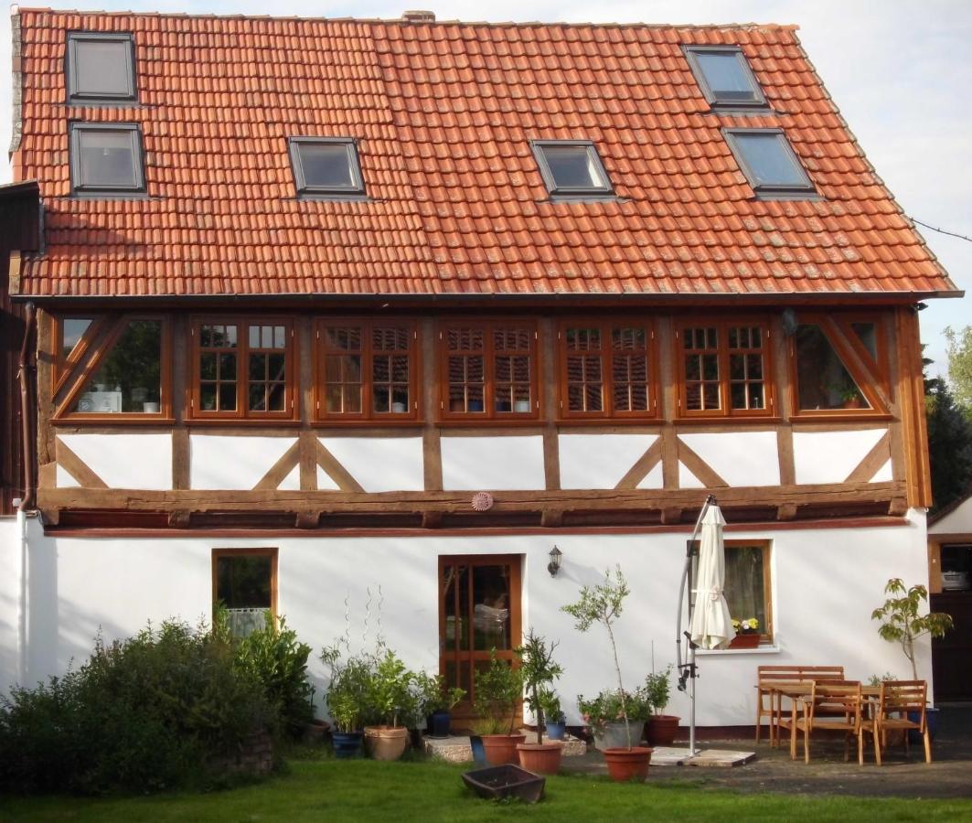 Rhumeblume - Ferienwohnung Rüdershausen