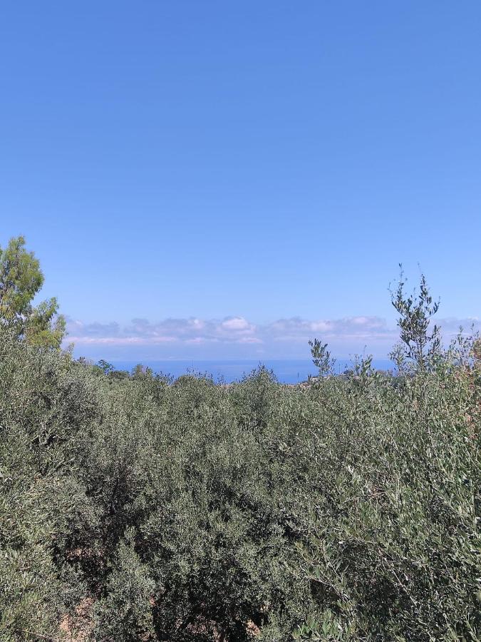 Villa degli Ulivi - Ferienwohnung Sciconi