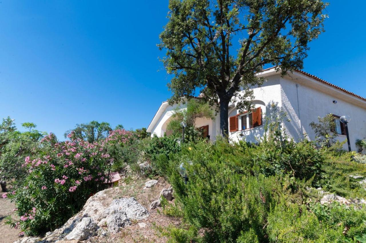 Villa with Garden View