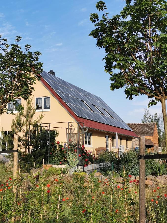 Friedenfelder Nest - B&B Gerswalde