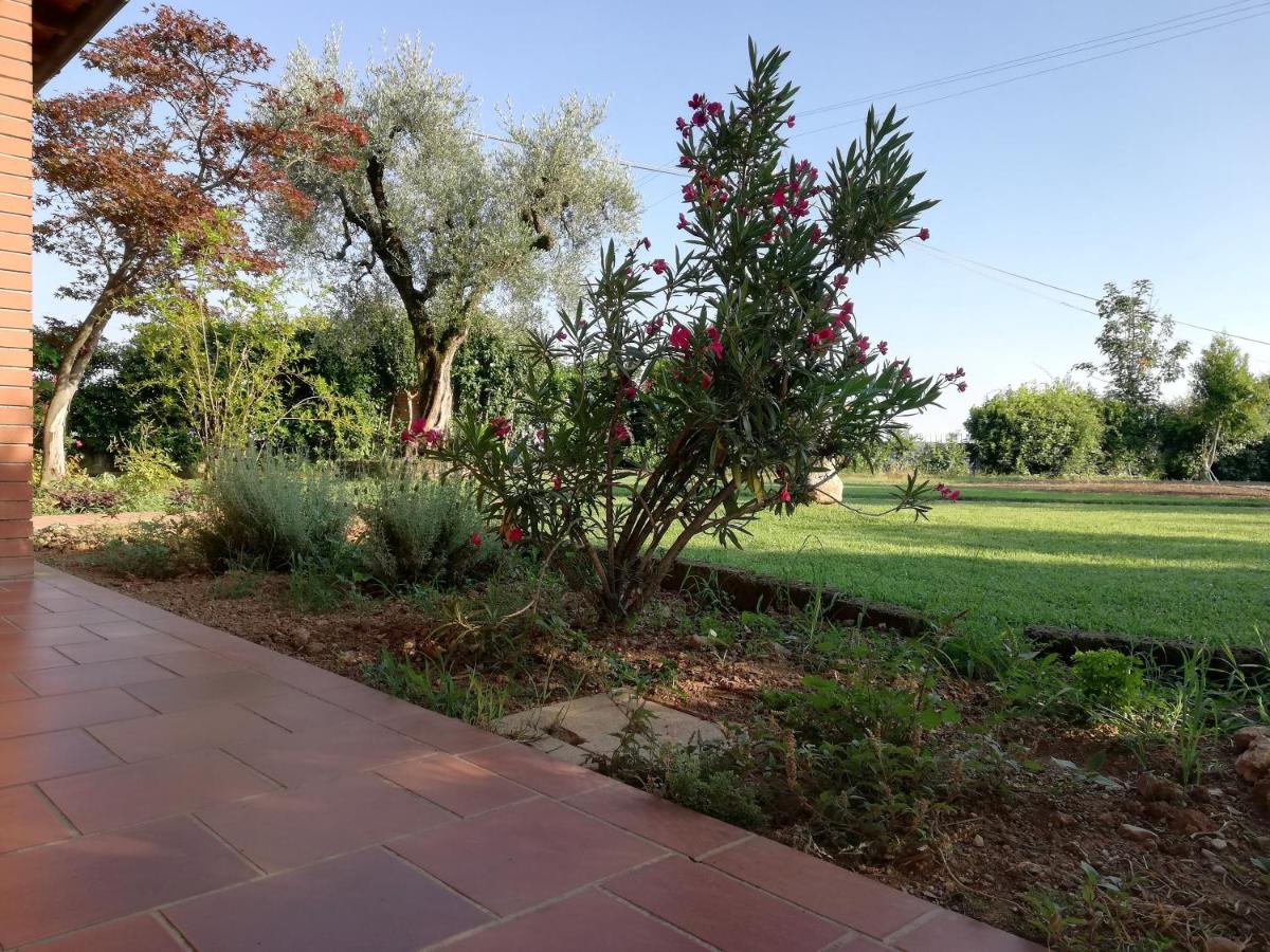 Villa Caterina Country Apartment - B&B