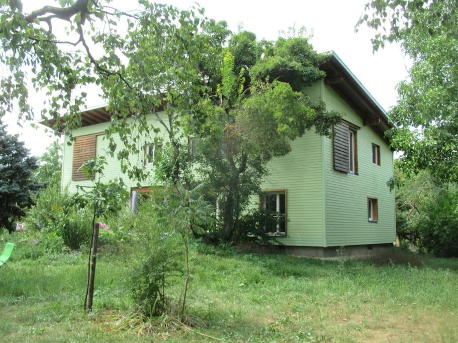 Ferienwohnung im Grünen - B&B Gottenheim