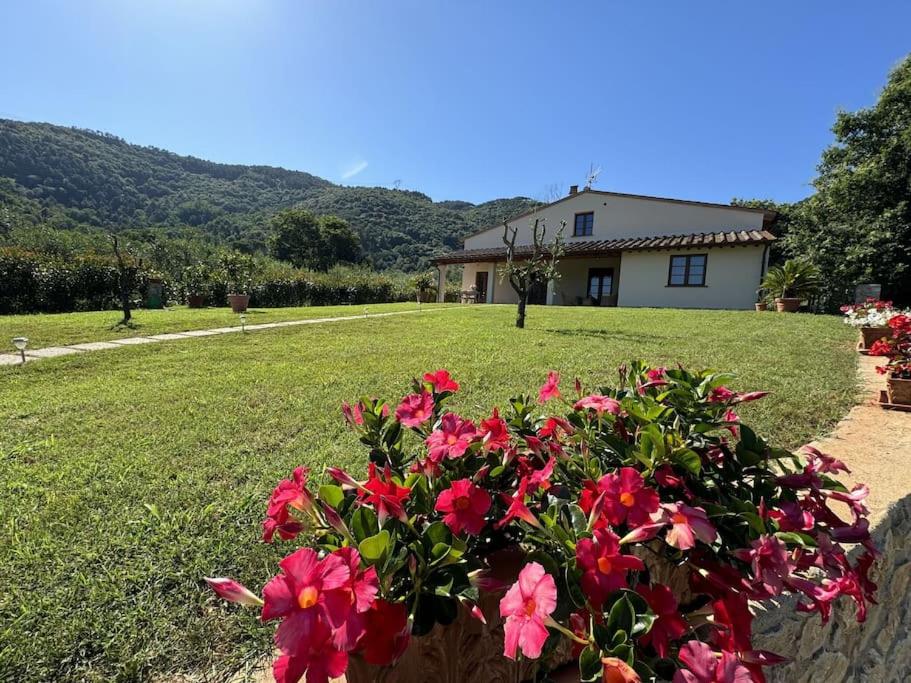 Casa Viviani - B&B