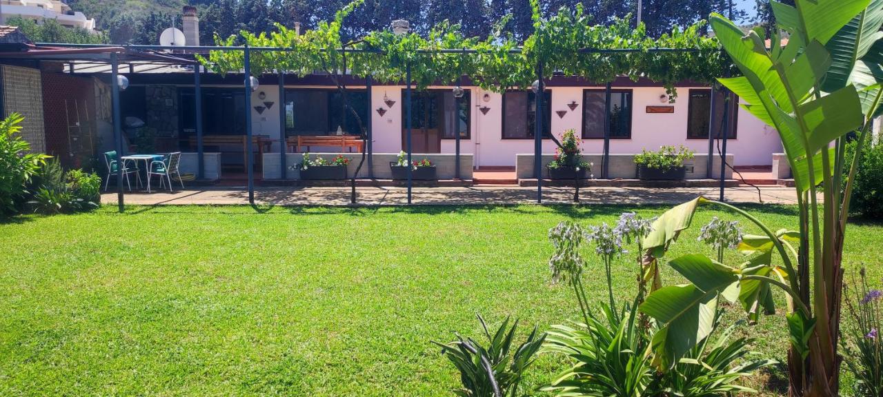 La Vite nel Tempo - a pochi minuti dal mare - B&B