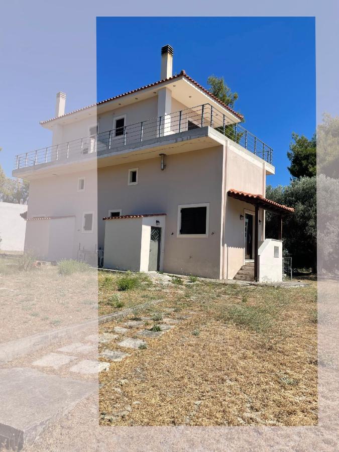 Jane's Beautiful Cottage, Eretria - B&B