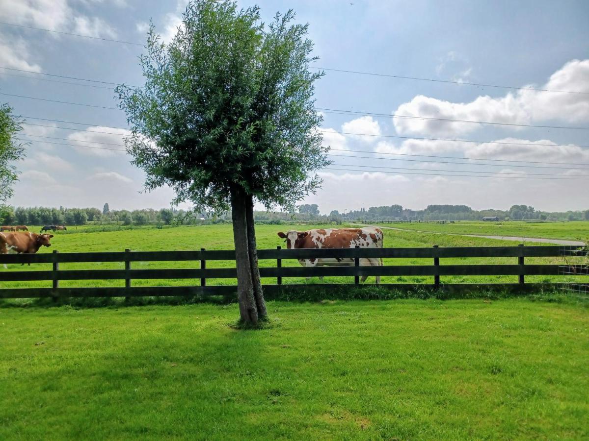 't Veldthuisje - Bed and Breakfast Uitgeest