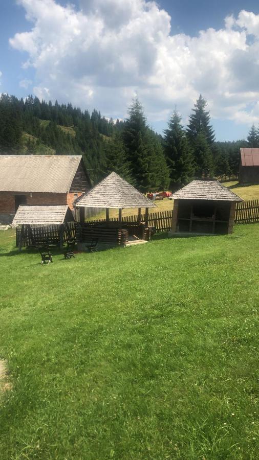 Pensiunea Valea Dorului - B&B