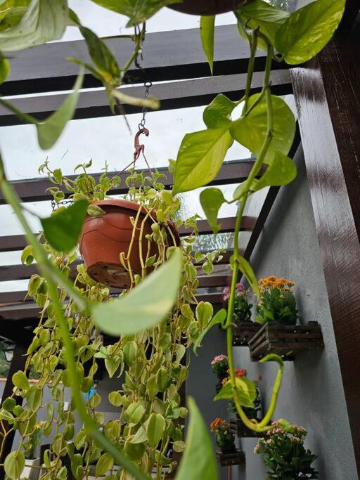 CASA AMARELA RECANTO Mesmo bairro da pizzeria Borgo Del Vino - Ferienwohnung