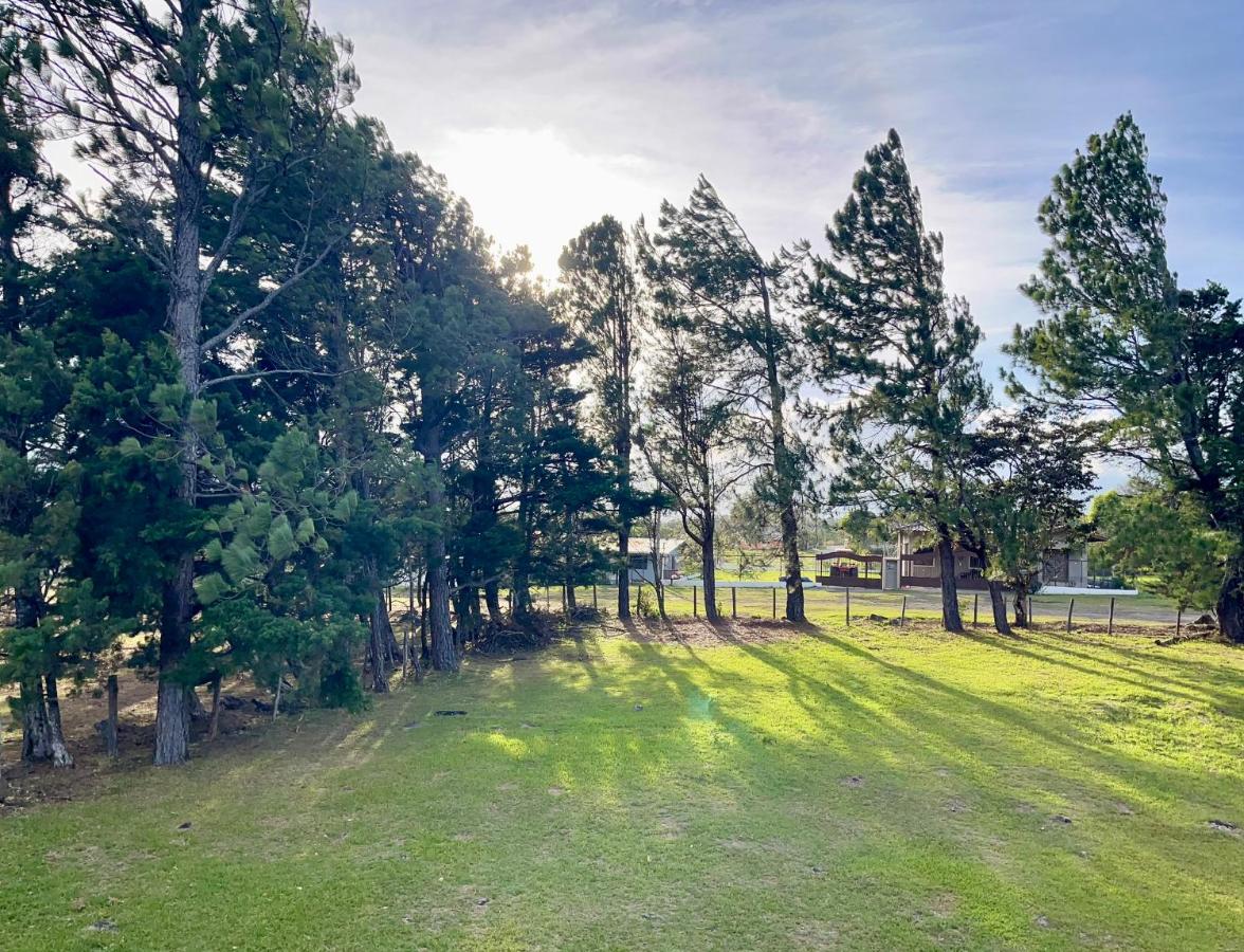 Acogedor apartamento con amplio patio - The Goat Spot - planta baja - B&B Alto Boquete