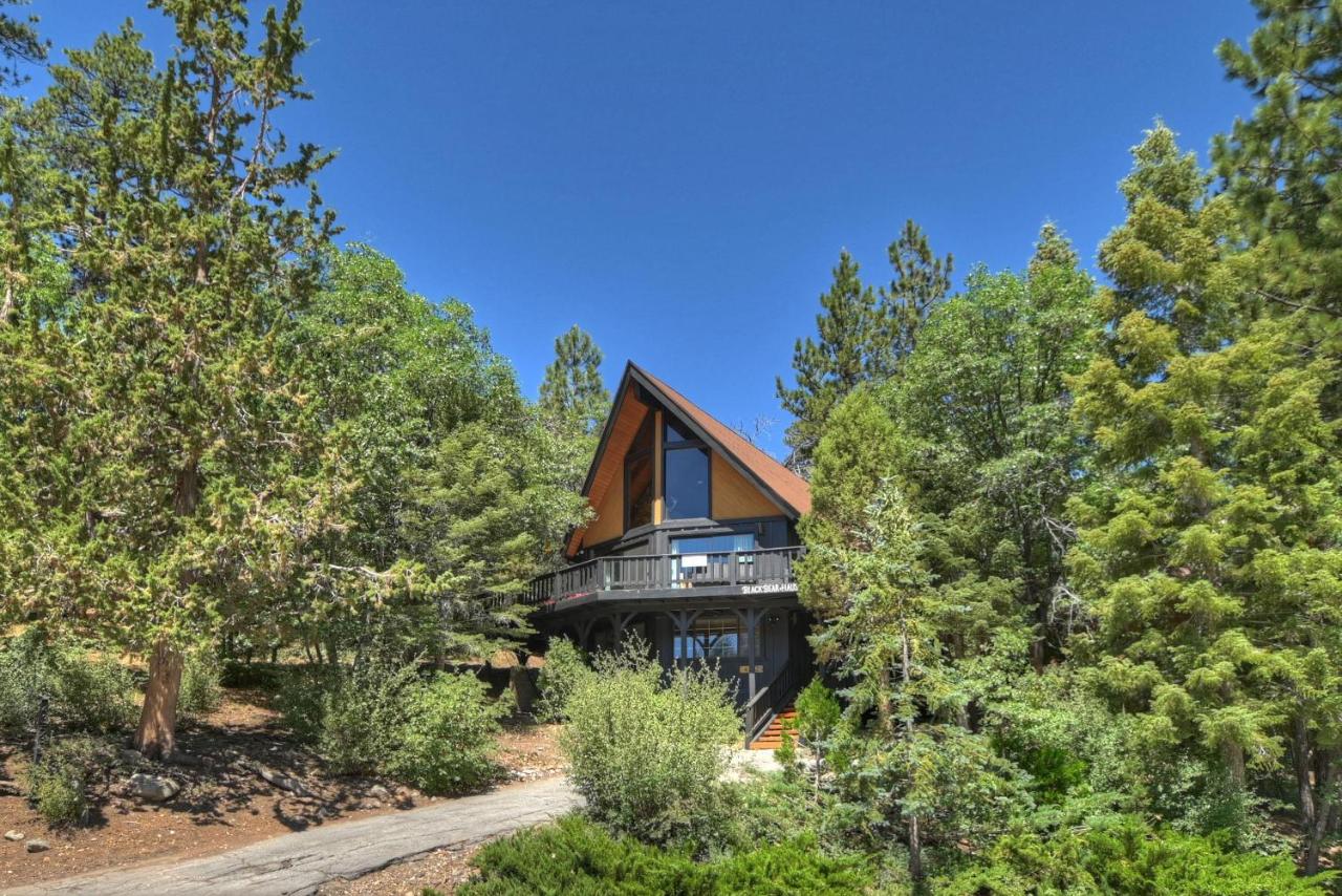 159 - Black Bear Haus - Meredith Lodging - B&B