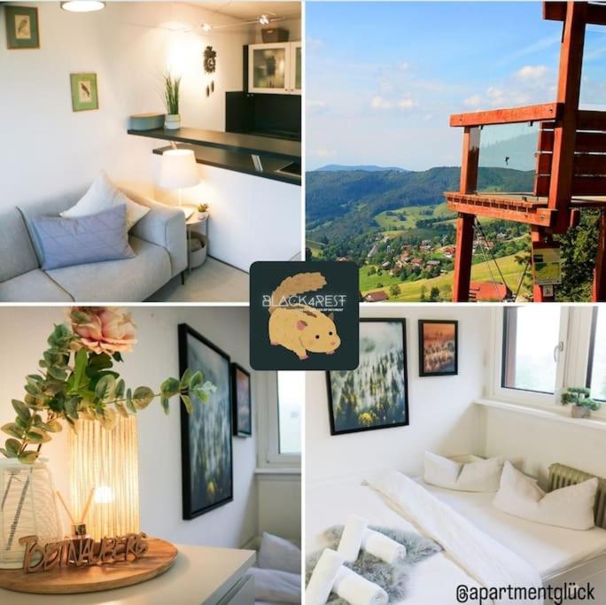 - Black4Rest Siebenschläfer Apartment Todtnauberg - - B&B