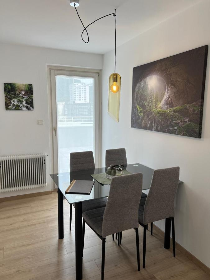 Ferienwohnung über den Dächern von Bregenz - Ferienwohnung