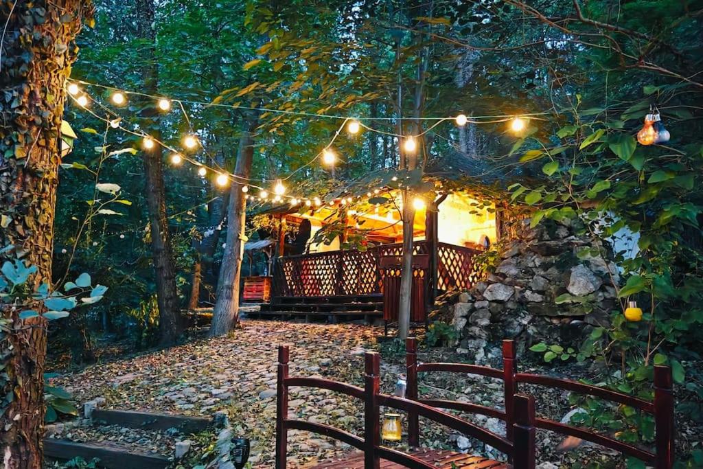 Căsuța din pădure - B&B Vlădeşti