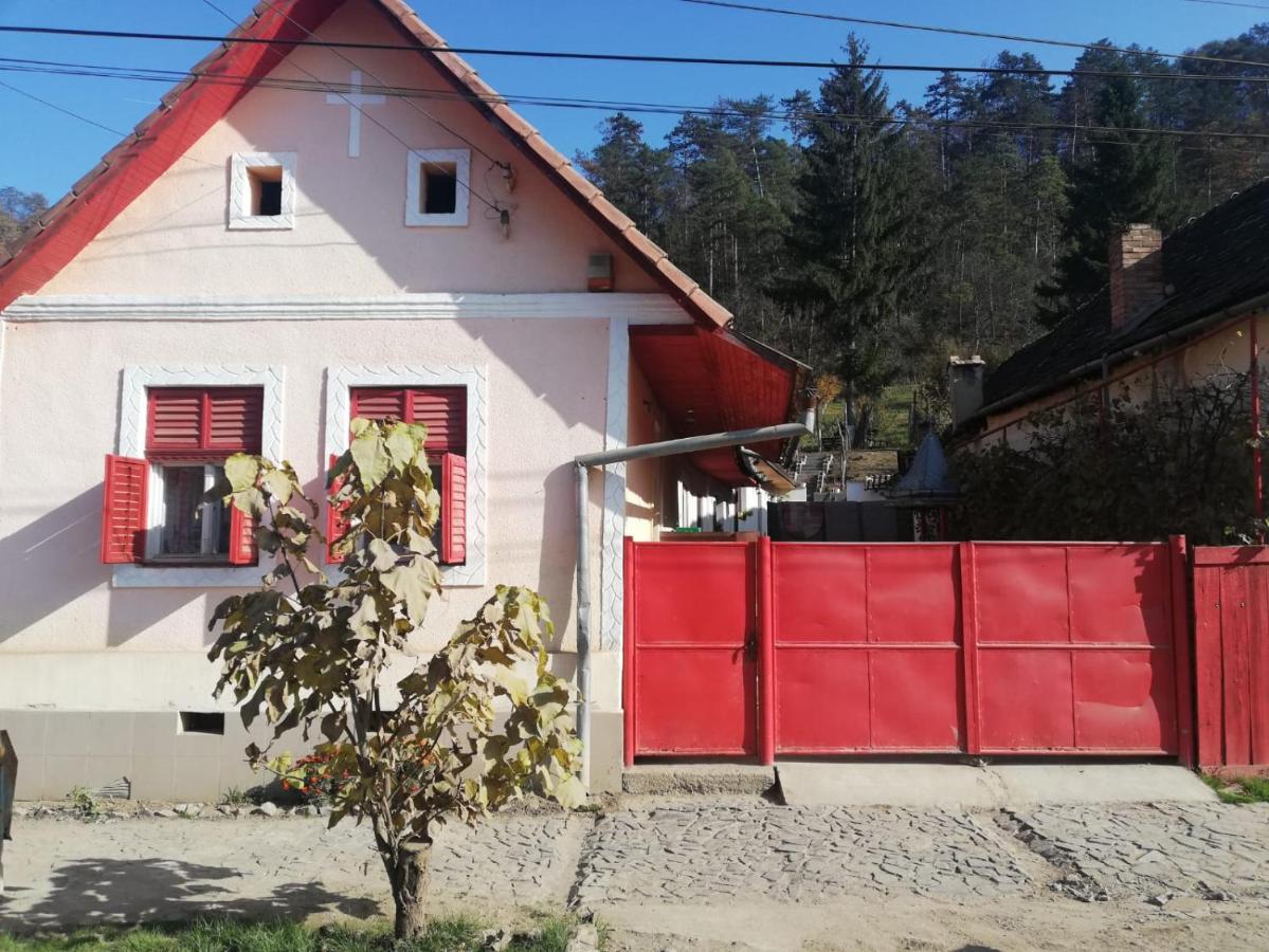 La Ţară Casa Angelica - B&B
