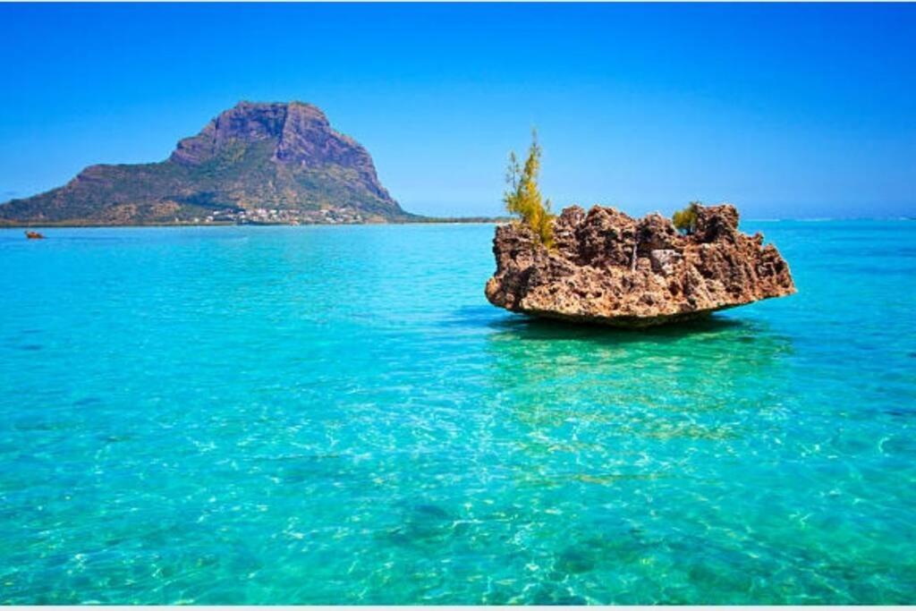 LnD Apartments - Le Morne 2 - One Bedroom - Chambres d'hôtes La Gaulette