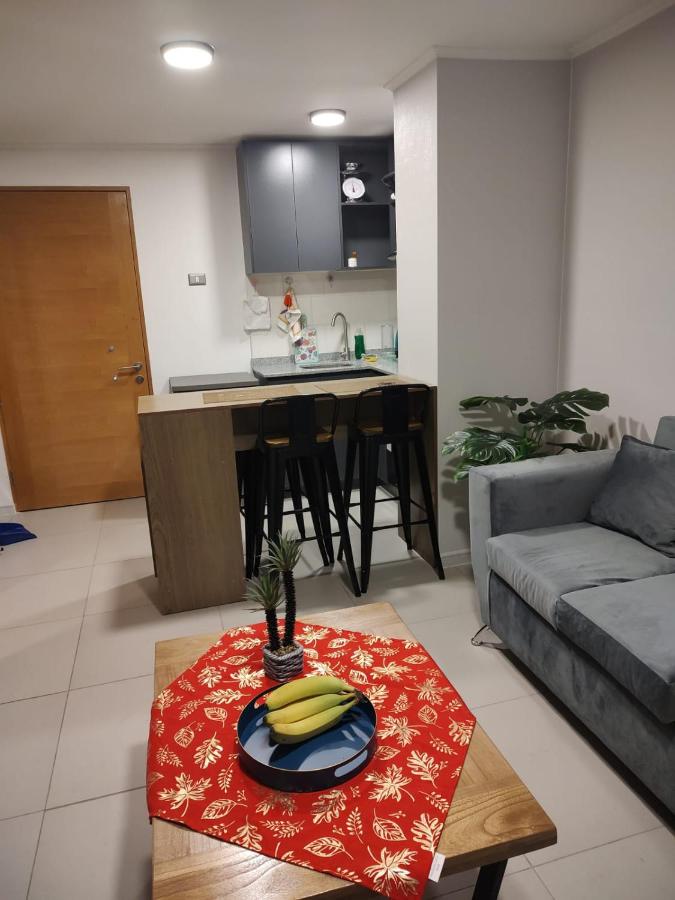 Departamento excelente en Santiago - B&B