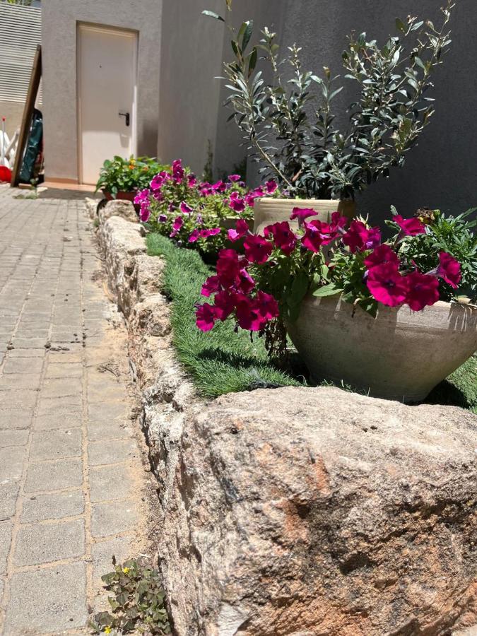 Cosy & Calm Central Getaway Modern Guest Suite by Midrachov 1 Queen Bed - B&B Zikhron Ya‘aqov