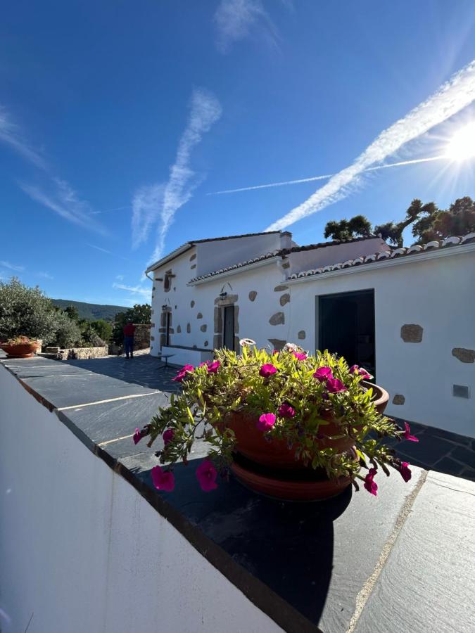 Casanova Country Villa - B&B