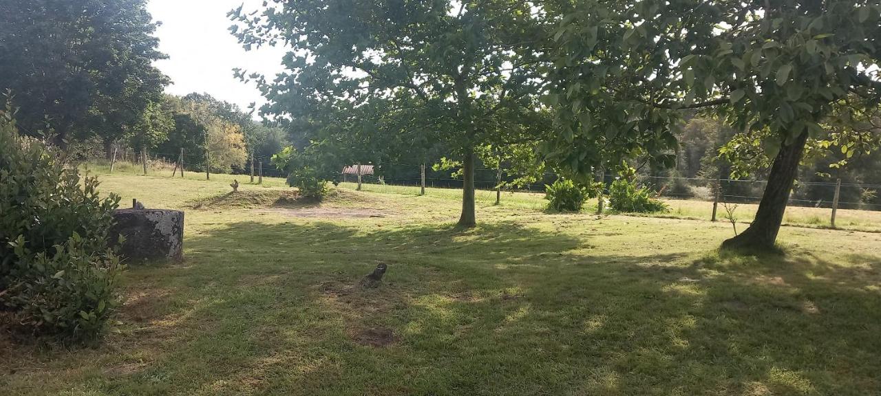 La Chataîgnière - B&B Saint-Géry